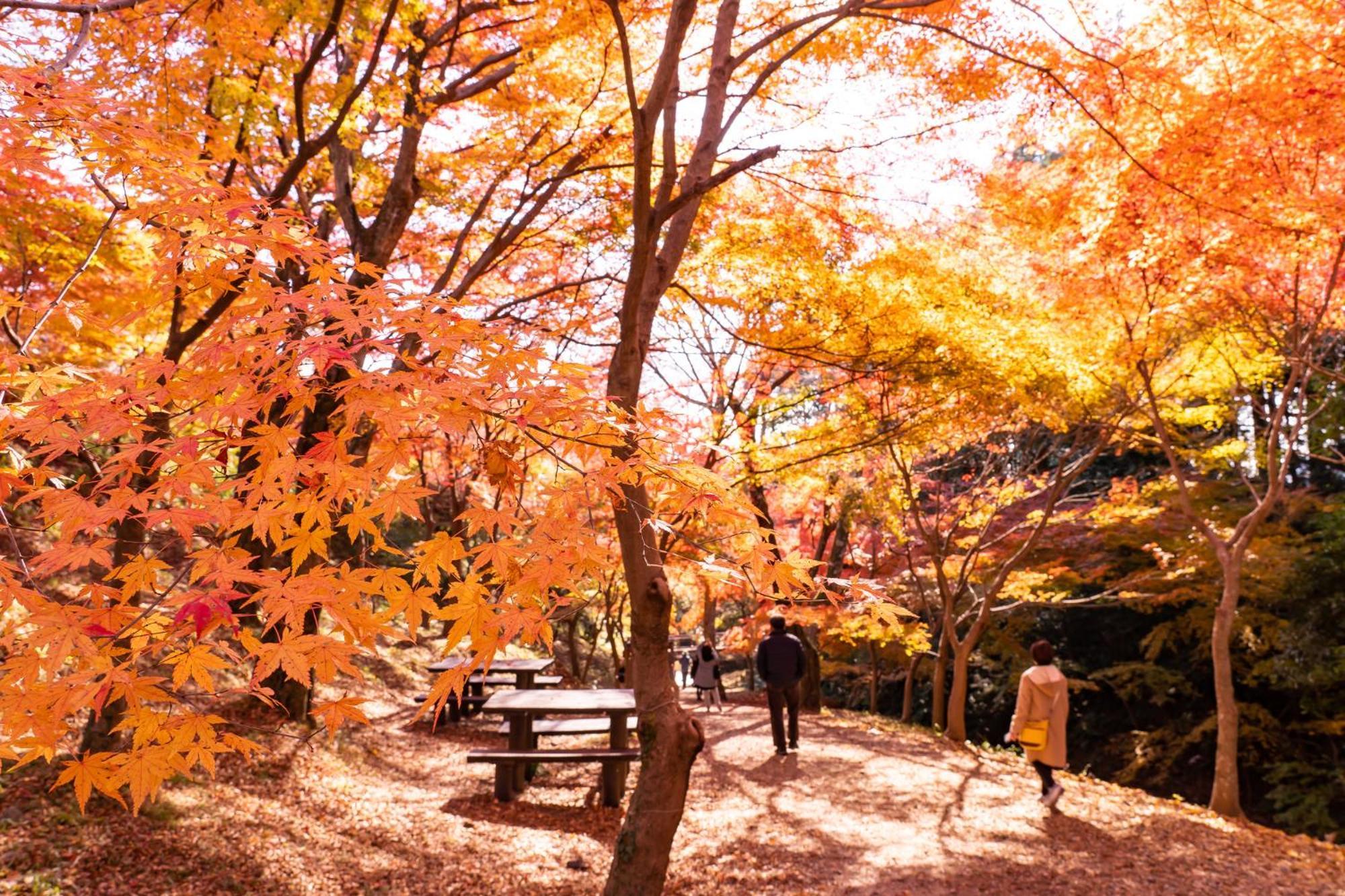 Tabist Miya Yokkaichi Suizawa Hotel Bagian luar foto
